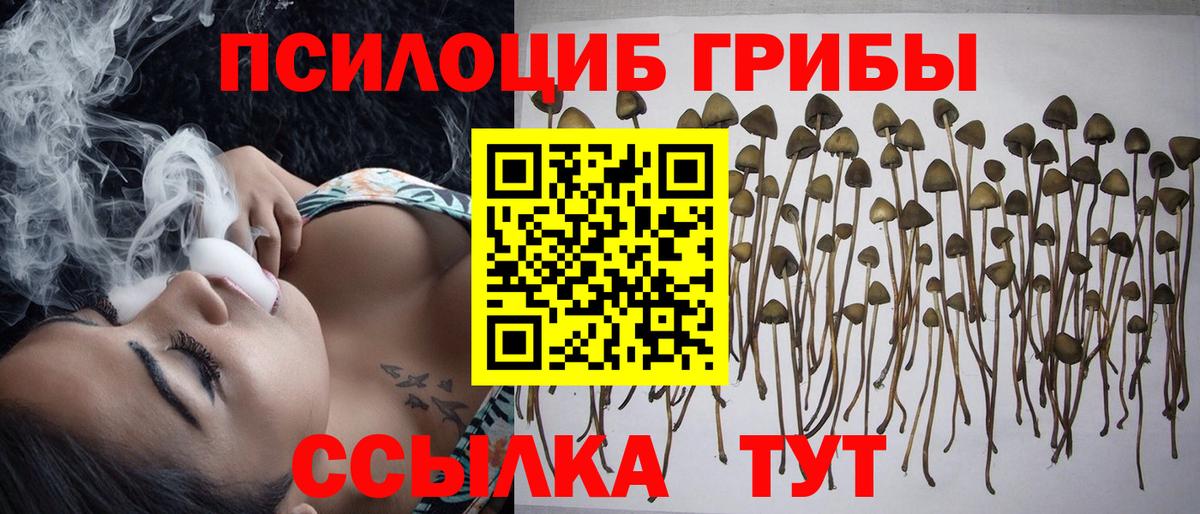 Псилоцибиновые грибы MAGIC MUSHROOMS  цены   Сыктывкар  Вход с VPN 